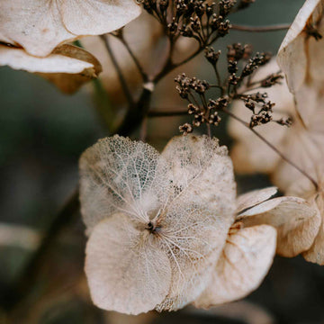 Photojournal: A Study of Transformation
