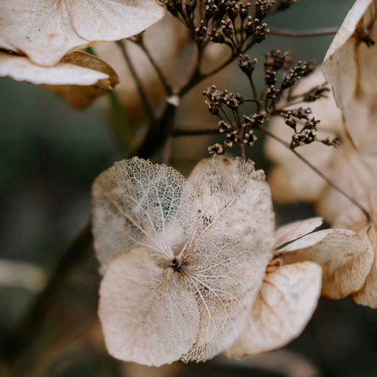 Photojournal: A Study of Transformation