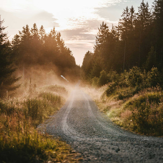 The Road Home: How We Got Here
