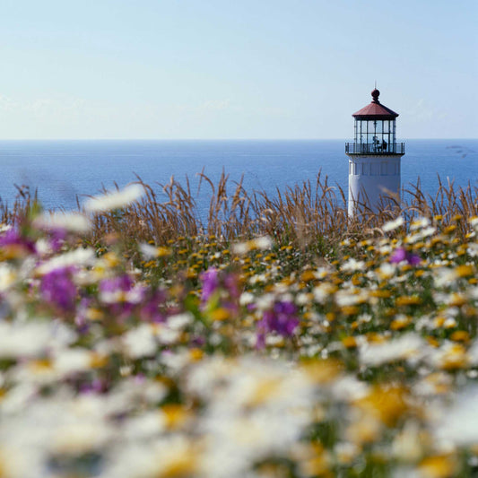The Scents of New England