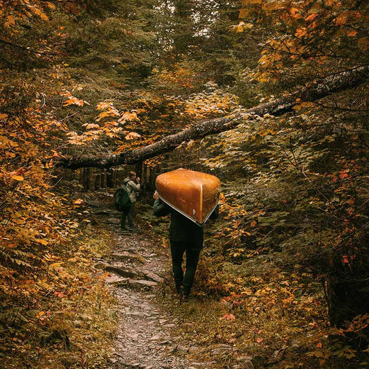 Mixtape: What We're Listening To