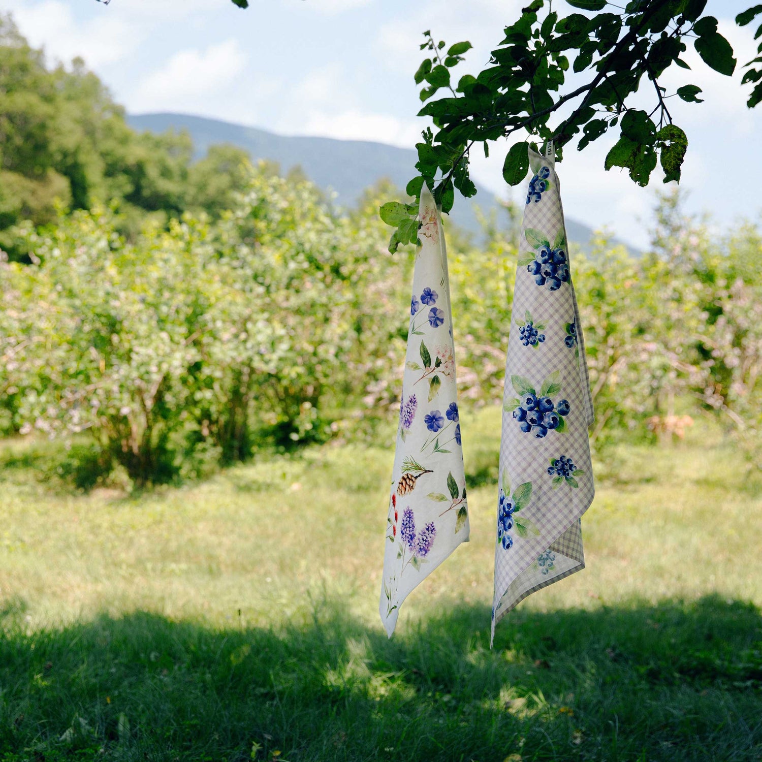 Homewares