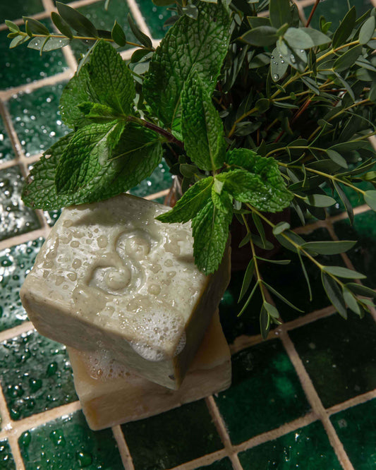 Abyssinian Mint Soap Bar