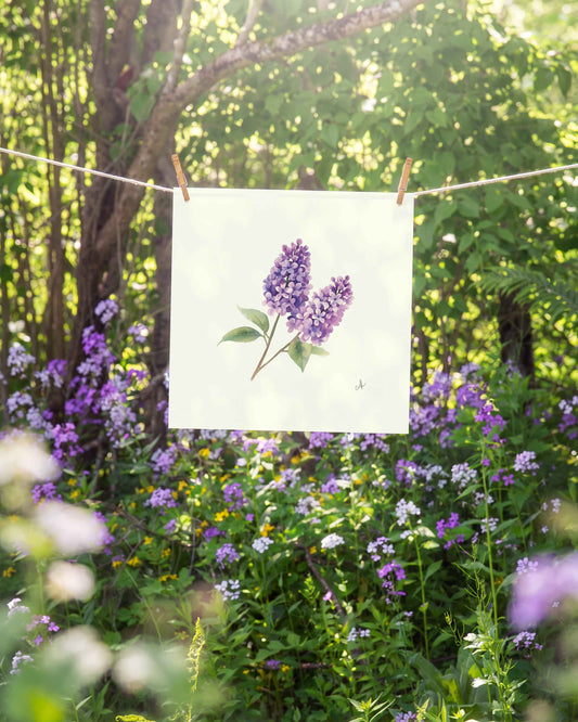 New Hampshire Purple Lilac Art Print