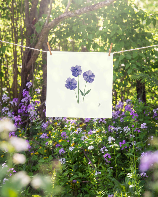 Rhode Island Blue Violet Art Print