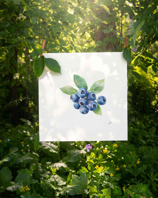 Blueberries Art Print