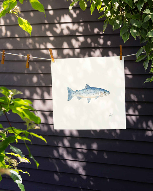 Blue Trout Art Print