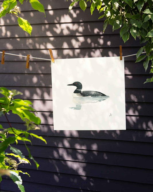 Loon Art Print