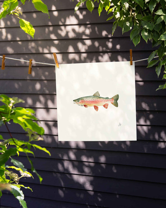 Rainbow Trout Art Print