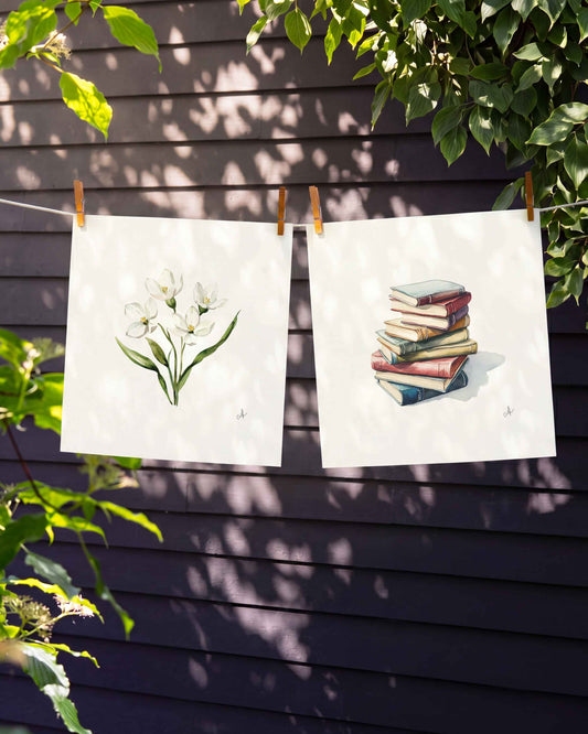 Massachusetts Mayflower Art Print