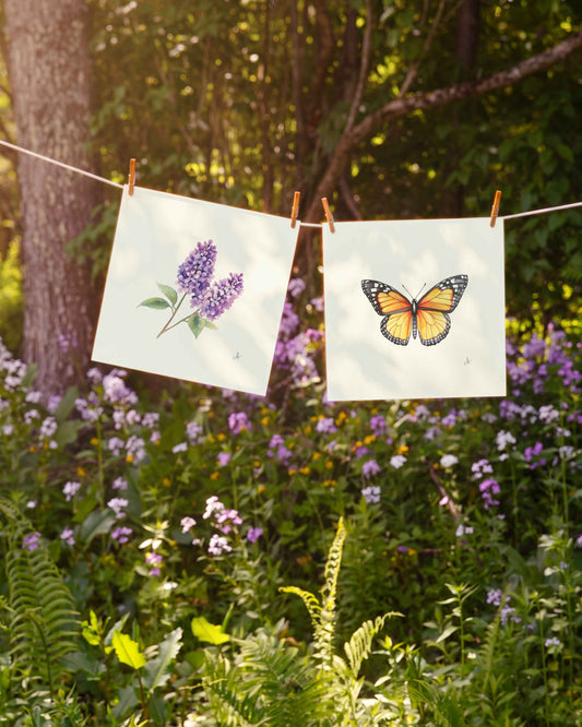 Monarch Butterfly Art Print