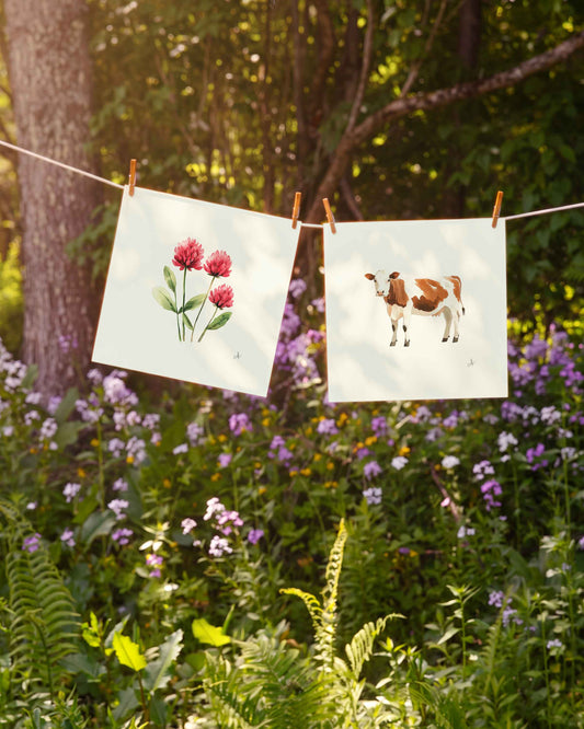 Vermont Red Clover Art Print