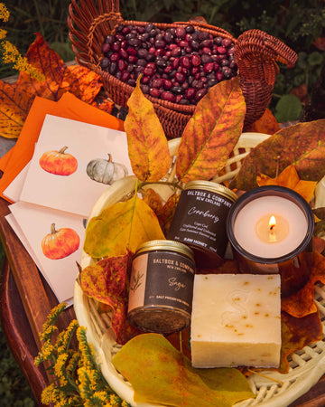 Saltbox & Company