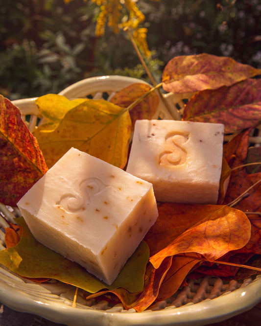 Calendula Petal Soap Bar