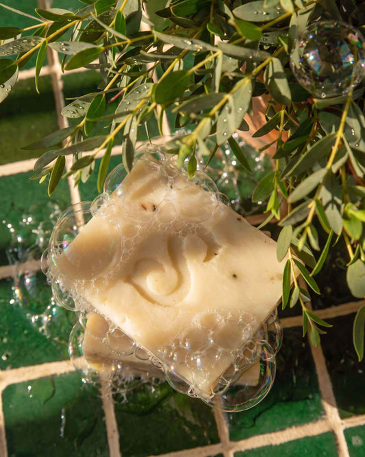 Eucalyptus Wood Soap Bar