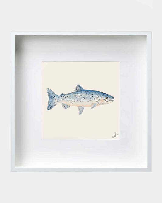 Blue Trout Framed Art Print