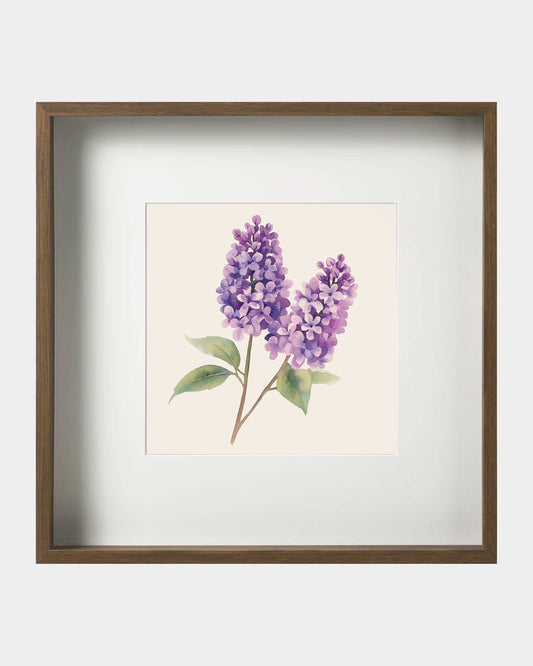 Purple Lilac Framed Art Print