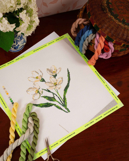 Mayflower Needlepoint Canvas