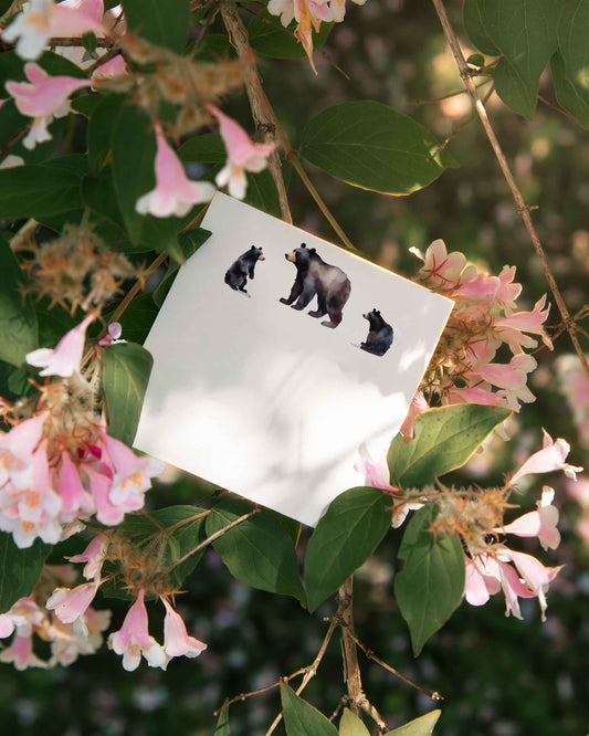 Mama Bear Mini Notes
