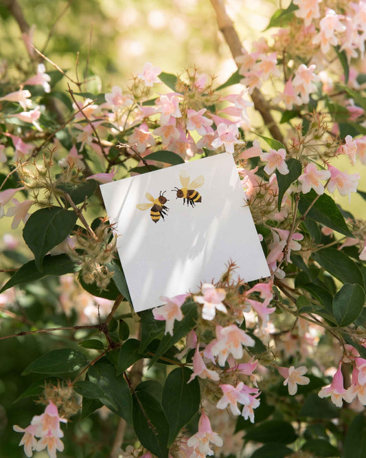 Bumblebees Mini Notes