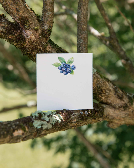 Blueberries Mini Notes