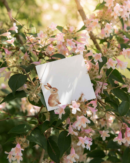 Carmello the Bunny Mini Notes