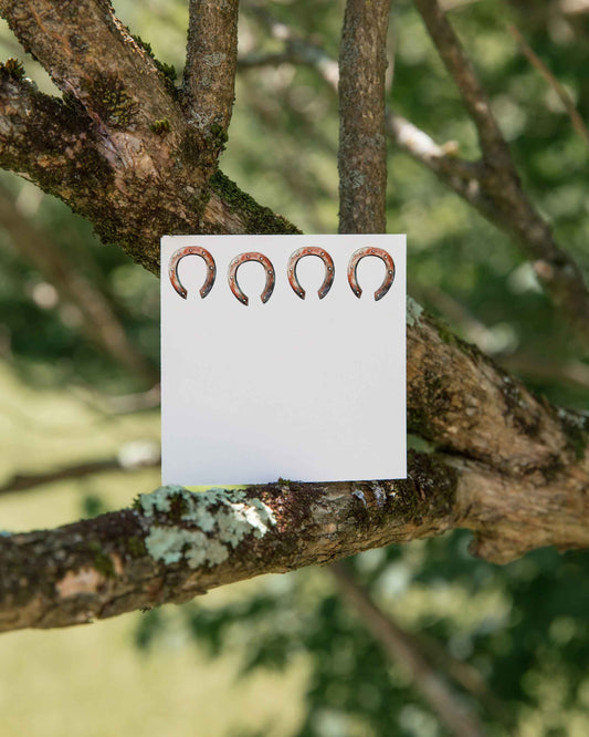 Horseshoes Mini Notes