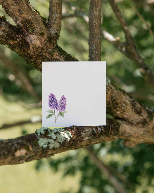 Purple Lilac Mini Notes