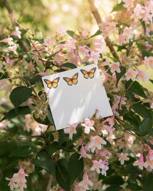 Monarch Butterflies Mini Notes
