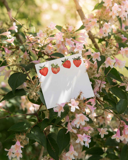 Strawberries Mini Notes