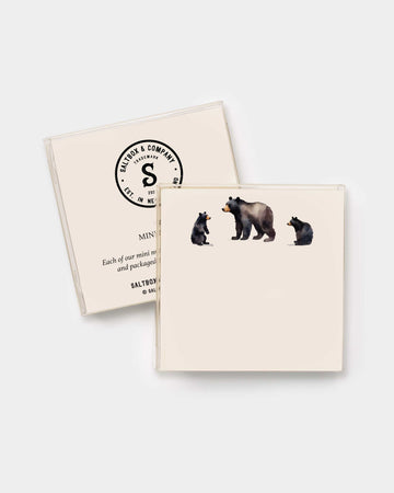 Mama Bear Mini Notes