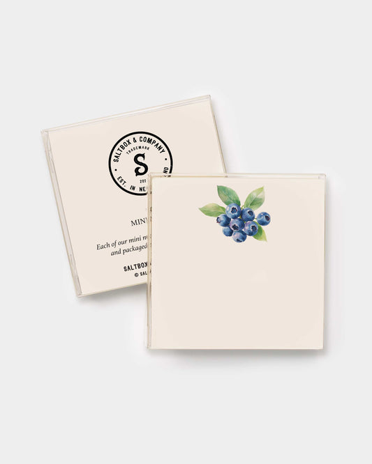 Blueberries Mini Notes