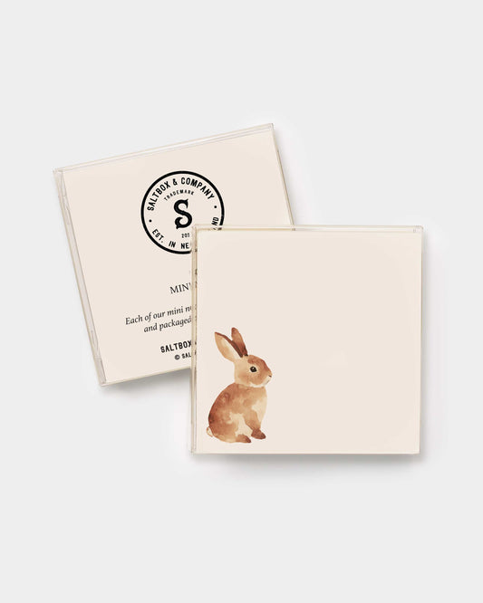 Carmello the Bunny Mini Notes