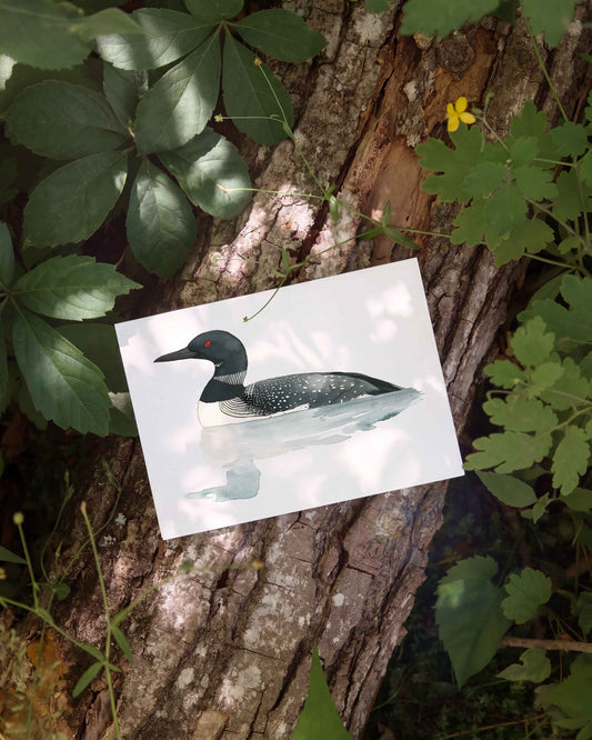 Loon Note Card