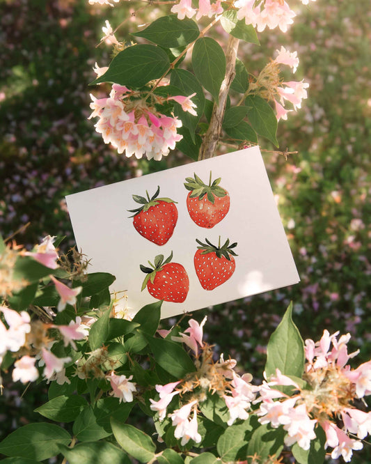 Strawberries Note Card