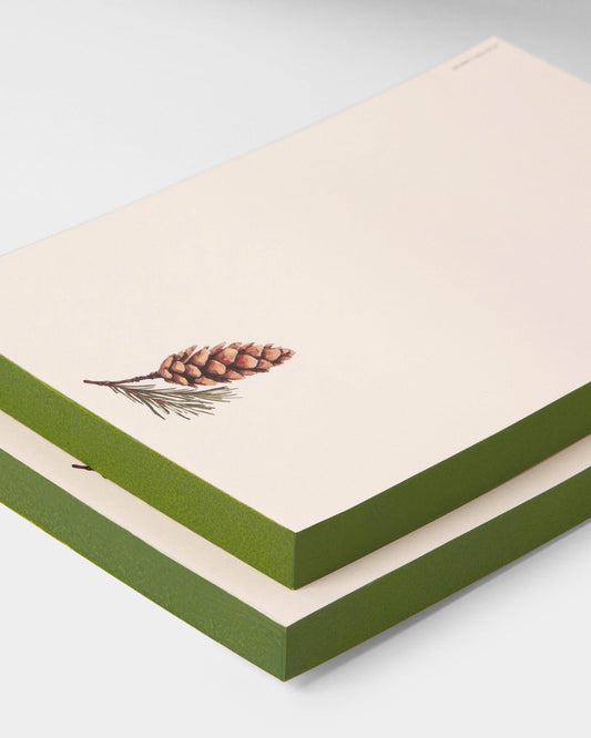 Maine White Pine Cone Notepad