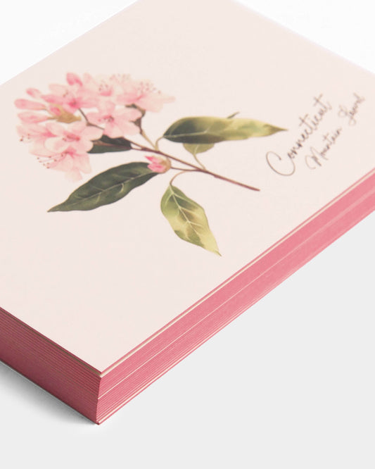 Connecticut Mountain Laurel Postcards
