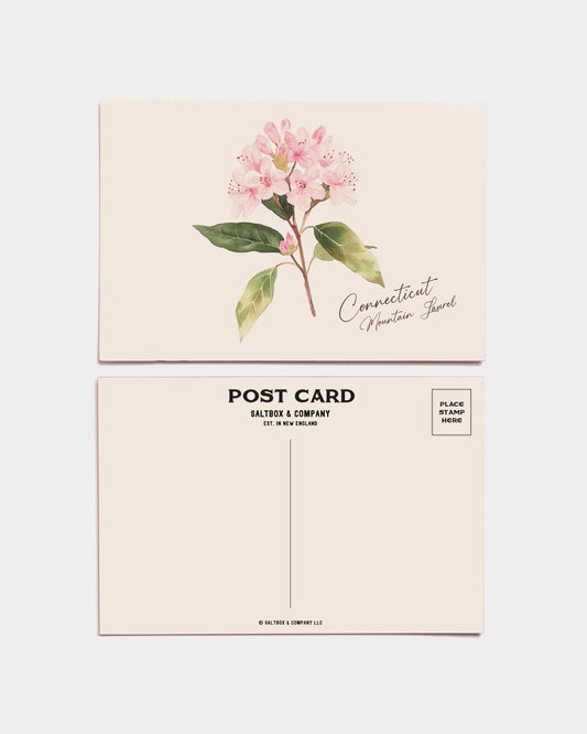 Connecticut Mountain Laurel Postcards