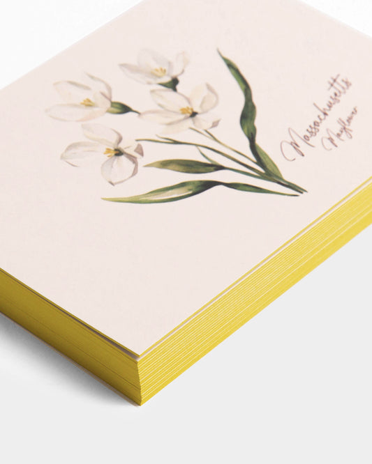 Massachusetts Mayflower Postcards