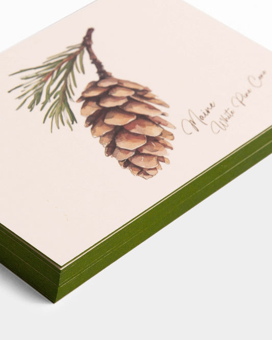 Maine White Pine Cone Postcards