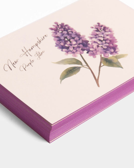 New Hampshire Purple Lilac Postcards
