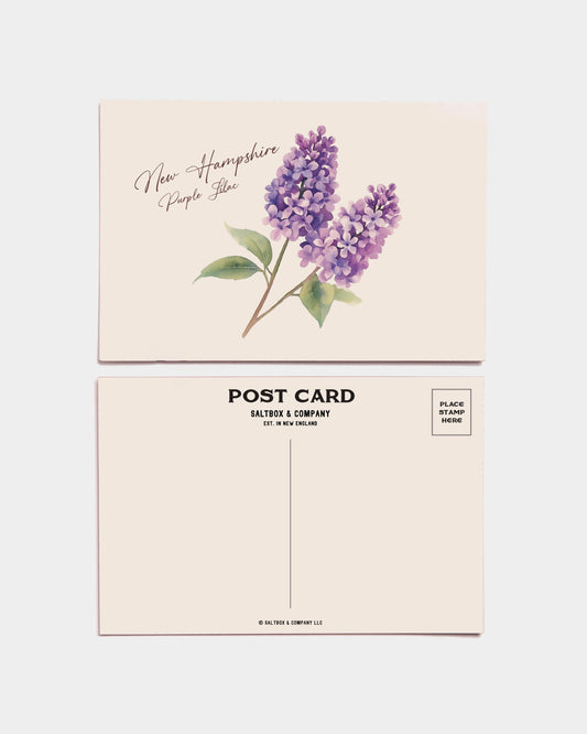 New Hampshire Purple Lilac Postcards