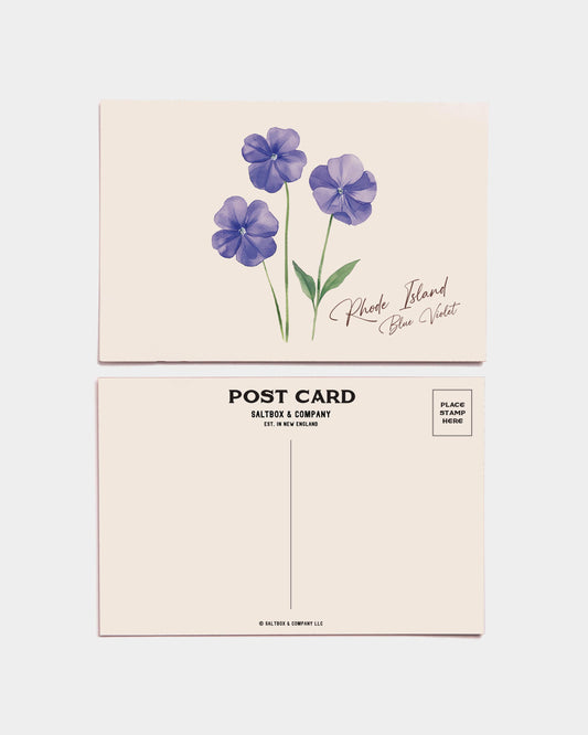 Rhode Island Blue Violet Postcards