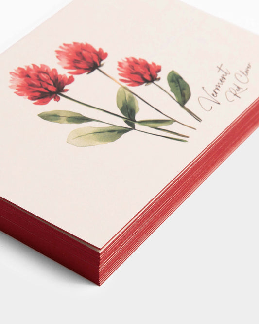 Vermont Red Clover Postcards