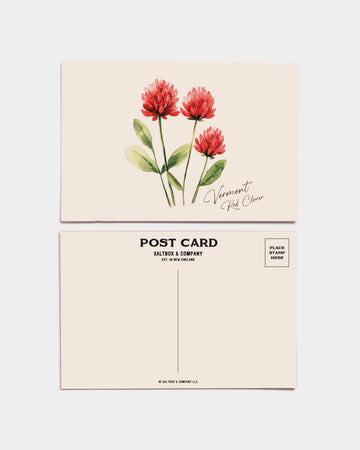 Vermont Red Clover Postcards