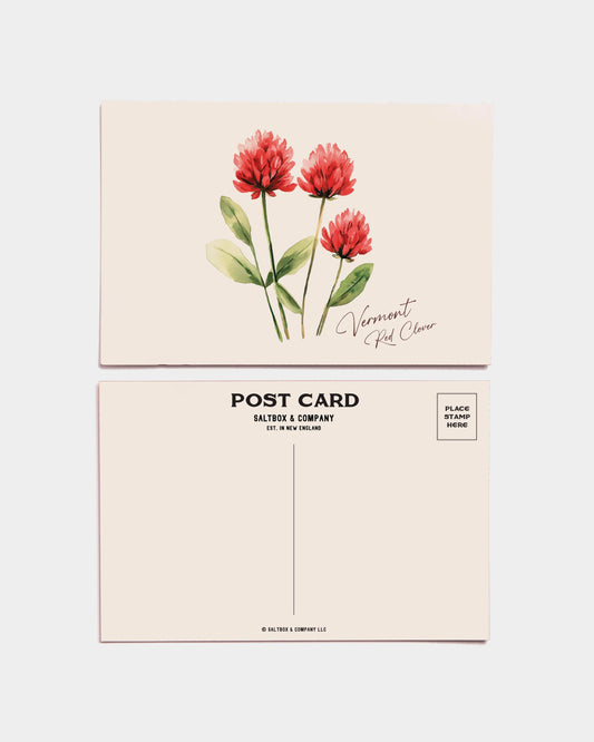 Vermont Red Clover Postcards