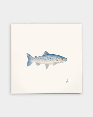 Blue Trout Art Print