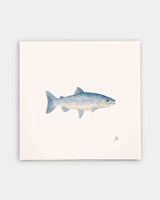 Blue Trout Art Print
