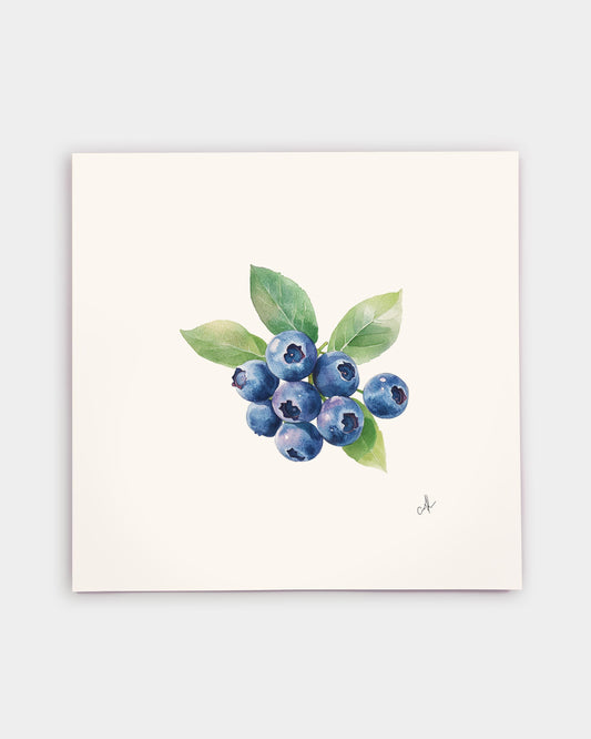 Blueberries Art Print