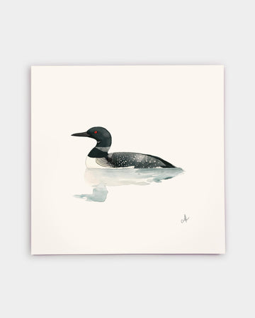 Loon Art Print